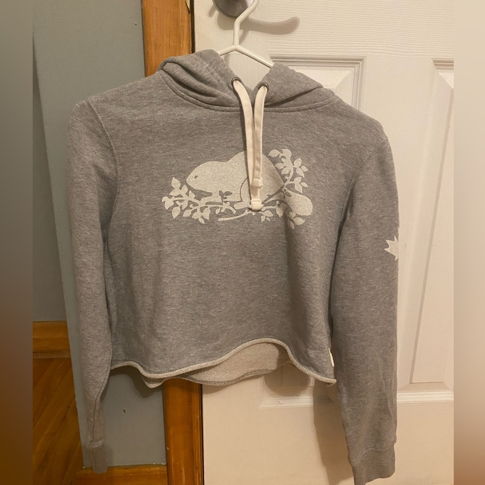 Roots cropped hoodie